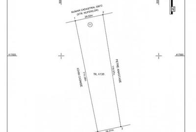 De vanzare: Teren intravilan 3102 mp in Delta Dunarii, comuna Partizani - 2
