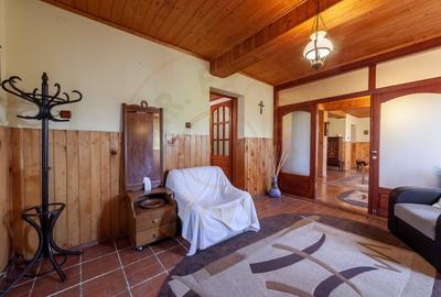 Casa rustica P+1 in zona de deal - Bogati, AG - 15