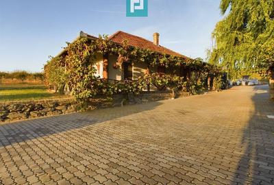 Casă individuală cu 6 camere cu Canalizare în Miniș - 29