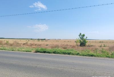 Teren de vanzare in Frumusani cu PUZ Aprobat - 4