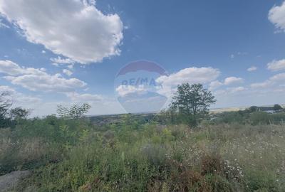 Teren  6.372mp Strs.Piersicilor/Str.Prunilor - 11