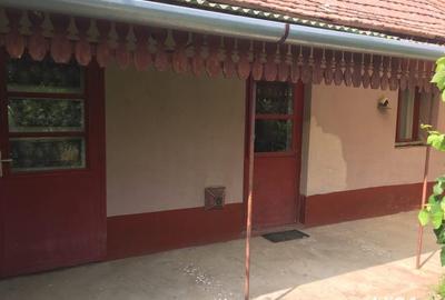 Casă cu 3 camere cu Teren 2538 Mp în Salonta - 10