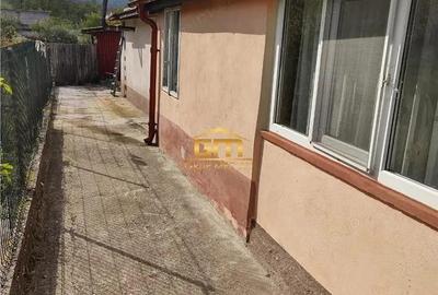 Proprietate deosebita cu doua case ?i teren 5.600 mp, situata in zona lini?tita, Gole?ti - 2