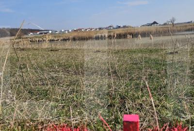 Teren de Vanzare - Lac Mogosoaia - 2