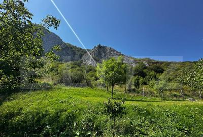 Teren deosebit de vanzare 1800 mp, Cheile Vali?oarei - 5