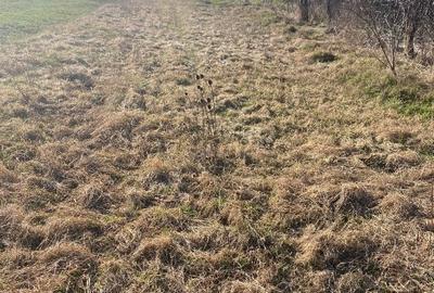 Teren Construcții intravilan de 2100 mp, în Feiurdeni - 15