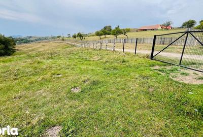 Teren de 17800 mp, în Central - 5