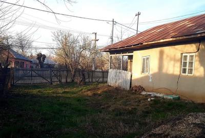 Mereni de Sus, 55 km Bucuresti - 4