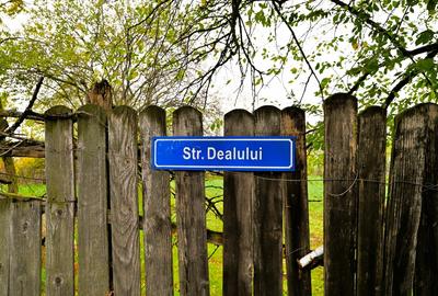 Lilieci, Sinesti, Judet Ialomita, Strada Dealului nr.1 - 1