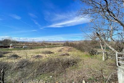 Teren de 2887 mp, în Barza - 1