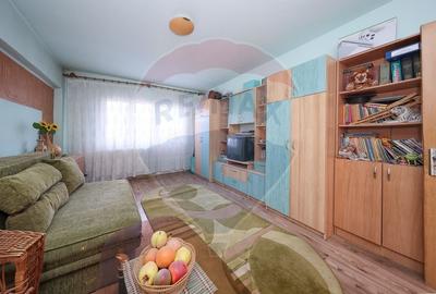 Apartament decomandat de vanzare in zona Tractorul - 16