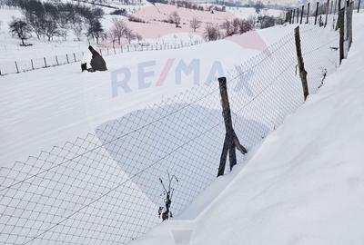 Spațiu comercial, în Bârsana - 5