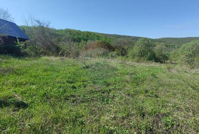 Teren de vis în Stejeriș – utilități, natură, acces rapid! - 2