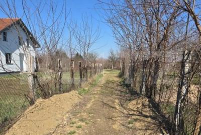 Teren de 4170 mp, în Bercu Roșu - 5