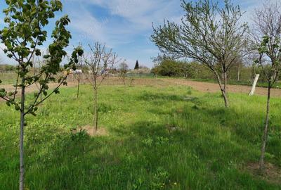Casa batraneasca Casa batraneasca - 2