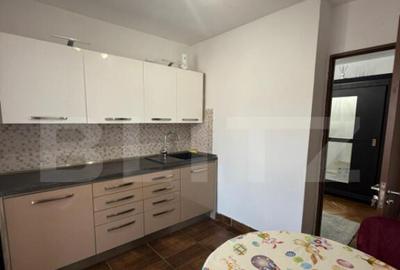 Apartament cu 2 camere, decomandat, Corneliu Coposu - 6
