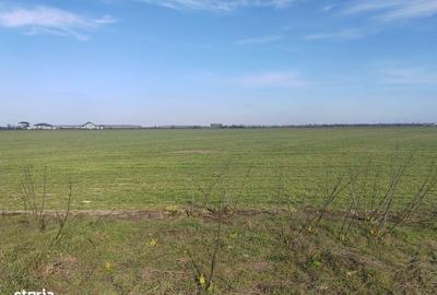 Spațiu comercial, în Tânganu