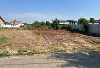 Teren Clinceni- Putul Olteni- Crizantemelor.