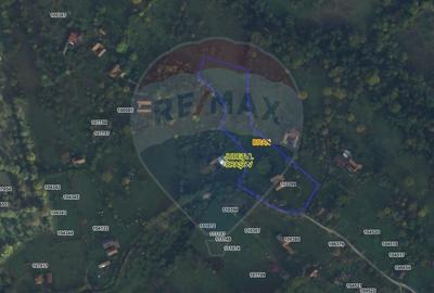 Teren intravilan, 1500 mp, Bran - 9