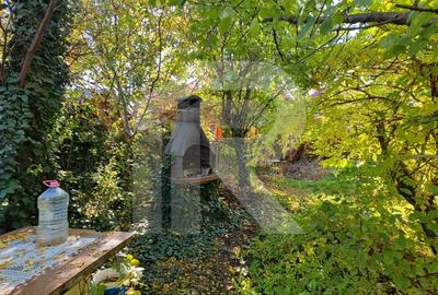 Vila Gabriela Otopeni Vila Gabriela Otopeni - 31