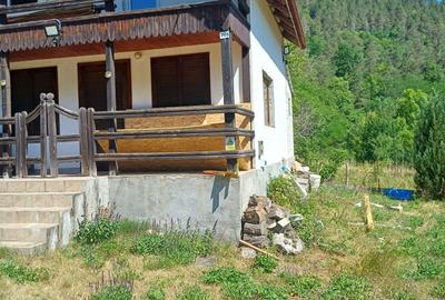 Casă cu 3 camere în Pietroasa - 3
