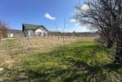 Teren de 1100 mp, în Bârnova - 7