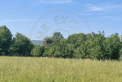 Teren Premium 1559 mp, Brebu Manastirei Refugiu Montan la 120 km de Bucuresti, - 9