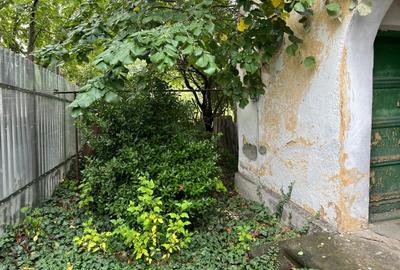 Bucurestii- Noi - zona Bazilescu, str. Pietei - 8
