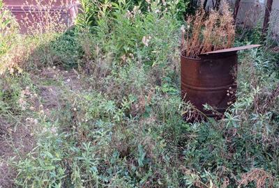 Casă cu 3 camere cu Teren 1116 Mp în Hotarele - 6