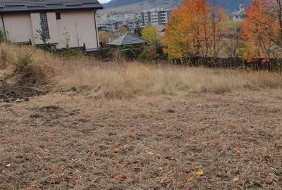 Spațiu comercial, în Calea Romanului - 1