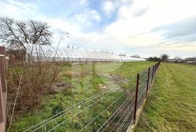 Teren intravilan, Curcubeu, Balta Doamnei, liber, imprejmuit - 2