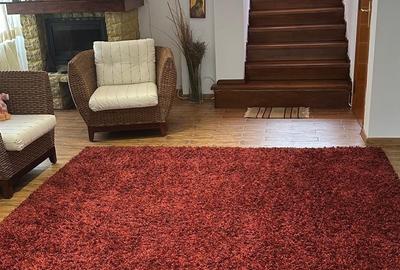 Casă individuală cu 8 camere cu Canalizare în Iancu Nicolae - 7