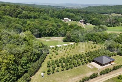 Glamping, piscicultura ?i turism spiritual - totul intr-un singur loc - 2