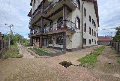 De vanzare proprietate unicat in Sascut - Bacau - 7