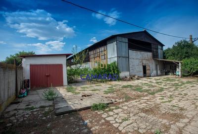 Casa si teren de 9000 mp - ideal investitie - Fundeni/Calarasi - 6