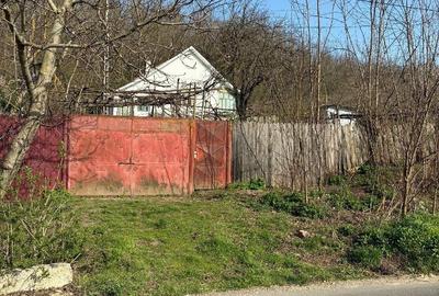 Casă cu Teren 2000 Mp în Dealu Morii - 4