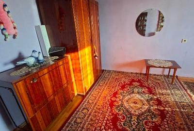 Casă cu 4 camere cu Teren 3404 Mp în Răchita - 13