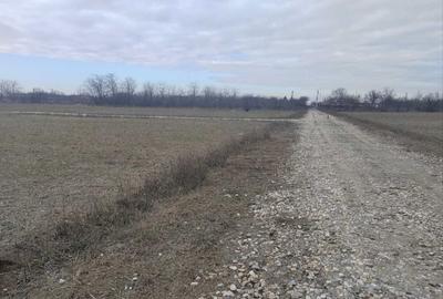 Spațiu comercial, în Vidra - 5