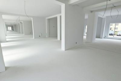 Spatiu Comercial cu Vitrine, Open Space, 620 mp, 18 parcari, Str. Doamna Stanca - 4