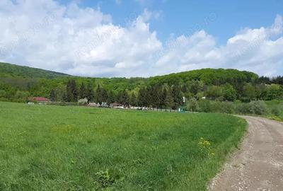 Teren 2300+1600 mp cu deschidere 16 m, Negresti, Jud. Neamt