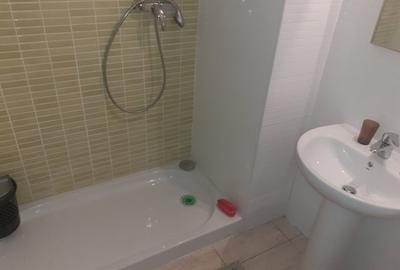 Apartament cu 3 camere decomandat în Basarabia - 13