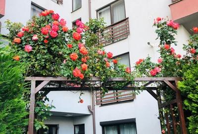 Apartament cu 2 camere decomandat, mobilat în Central - 8