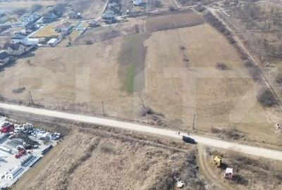 Spațiu comercial, în Viișoara - 3