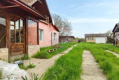 Casă individuală cu 3 camere cu Teren 2175 Mp în Mailat - 24