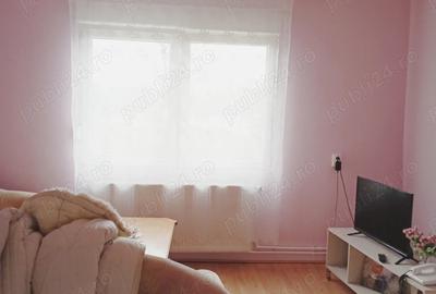 Casa vanzare Doclin, jud Caras Severin, pre? 39.500 euro - 8