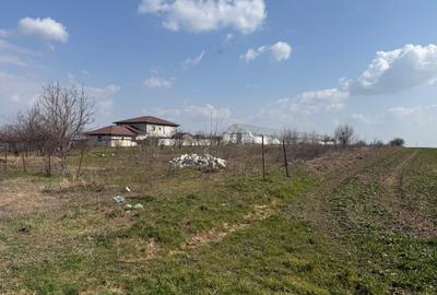 Teren Construcții intravilan de 4990 mp, în Pasărea - 8