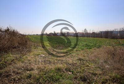 Teren Construcții intravilan de 7800 mp, în Târgșoru Nou - 5