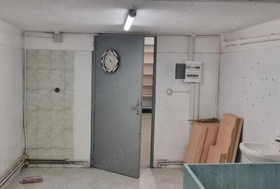 Spa?ii comerciale de 110 mp ?i 36 mp, vitrina stradala Seleu? - 10