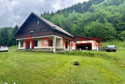 Casă cu 8 camere cu Teren 3905 Mp în Ilva Mică - 20