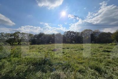 Teren de 1200 mp, în Sălicea - 3